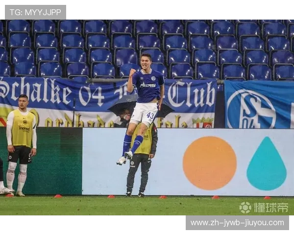 德甲球队霍普老板背景及其对球队发展的深远影响