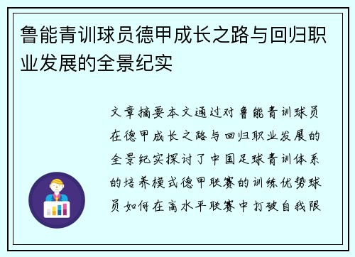 鲁能青训球员德甲成长之路与回归职业发展的全景纪实